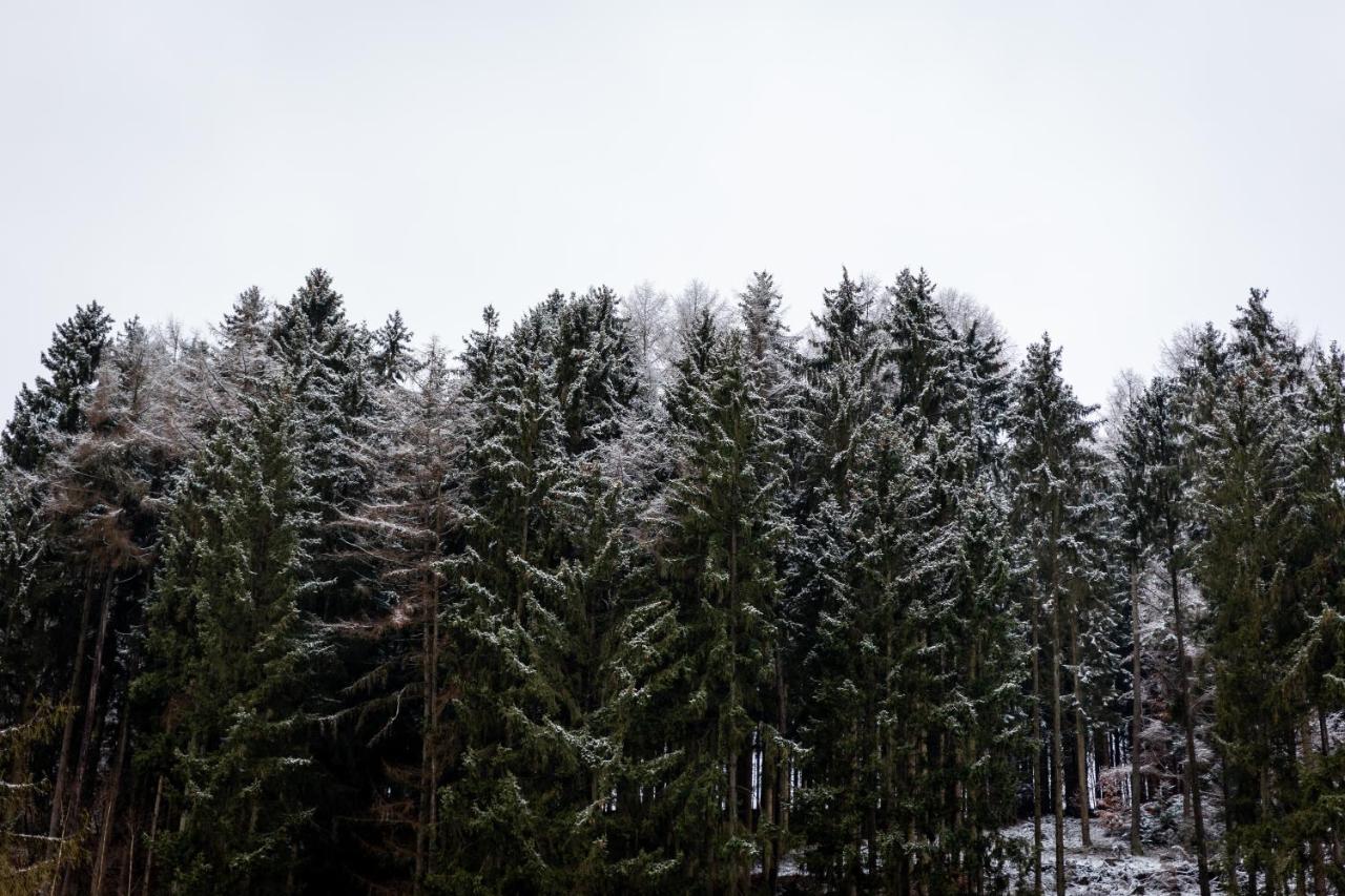 Hotel Tiefenhagen Sauerland Lennestadt Exteriér fotografie